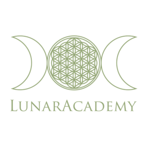 LunarAcademy logo designet og tegnet af Signature Design - grafisk design i Silkeborg og Ikast
