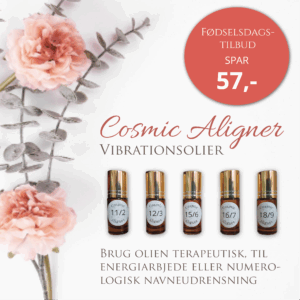 Signature Design Grafisk designer i Silkeborg og Ikast - Online annonce lavet til LunarAcademy.