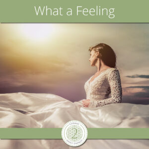 Signature Design Grafisk designer i Silkeborg og Ikast - SoMe grafik lavet til LunarAcademy.