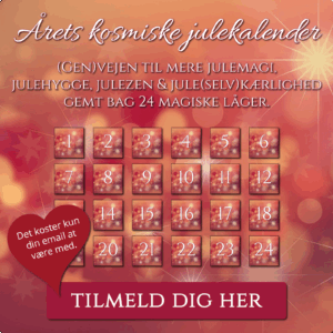 Signature Design Grafisk designer i Silkeborg og Ikast - Grafik lavet til nyhedsbreve og sociale medier for LunarAcademy.