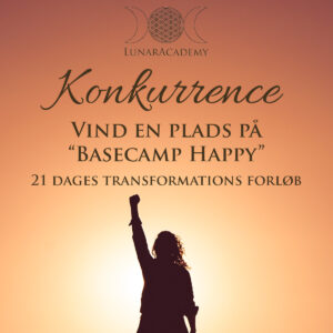 Signature Design Grafisk designer i Silkeborg og Ikast - Konkurrence grafik lavet til LunarAcademy.