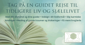 Signature Design Grafisk designer i Silkeborg og Ikast - Digital annonce lavet til LunarAcademy.