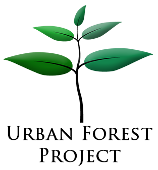 Logo til NGO projekt designet af Carolina Søndergaard fra Signature Design.