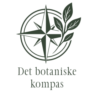 Nyt logodesign til Det botaniske kompas. Designet af Signature Design - grafisk design i Silkeborg og Ikast.